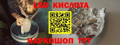 шишки Заволжье